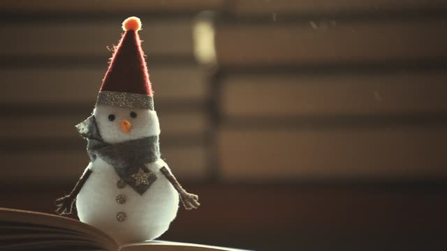 snowman-books-dust-hd-footage