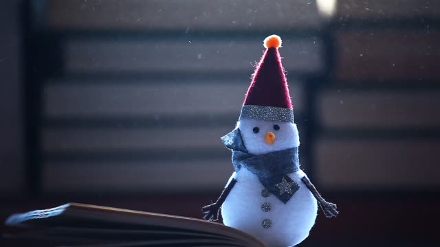 snowman-books-dust-hd-footage