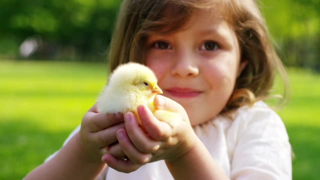 Little-Girl-Playing-with-Chick