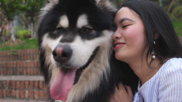 Close-up-of-young-woman-holding-her-dog-alaskan-malamute-and-kiss-outdoor,4k