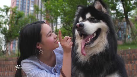 Mujer-joven-mirando-a-su-perro-grande-y-nariz-de-toque-perro,-4-k-lenta