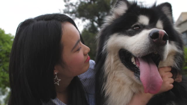 Feliz-joven-mujer-asiática-con-su-perro-malamute-de-Alaska-y-un-beso-al-aire-libre,-4k