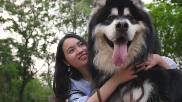 Feliz-joven-mujer-asiática-con-su-perro-Alaska-malamute-al-aire-libre,-4k
