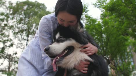 Glückliche-junge-asiatische-Frau-hält-ihren-Hund-Alaskan-Malamute-im-Freien,-4k