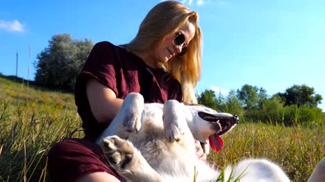 Beautiful-woman-with-blonde-hair-sitting-on-grass-at-field-and-stroking-her-siberian-husky-dog.-Young-girl-in-sunglasses-spending-time-together-with-her-pet-at-meadow-on-sunny-summer-day.-Close-up