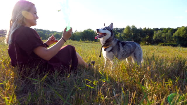 Dolly-shot-of-young-girl-with-blonde-hair-holding-in-hands-a-plastic-bottle-while-siberian-husky-biting-and-pulling-her-at-nature.-Happy-woman-spending-time-together-with-dog-at-field.-Low-angle-view
