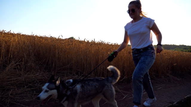 Dolly-shot-of-young-girl-playing-and-caress-her-siberian-husky-on-road-near-wheat-field.-Woman-jogging-with-her-cute-dog-on-leash-along-path-near-meadow.-Female-owner-spend-time-with-her-pet-outdoor