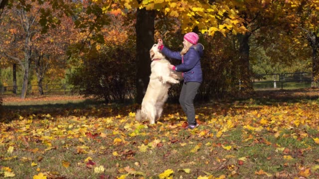 glückliches-kleine-Mädchen-von-europäischen-Erscheinungsbild-ist-Spaß-spielen-im-Herbst-Park-mit-einem-großen-schönen-Hund