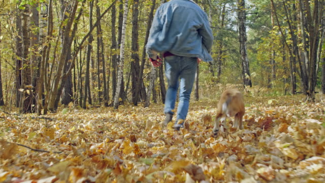Mann-mit-einem-Hund-läuft-durch-den-herbstlichen-Wald