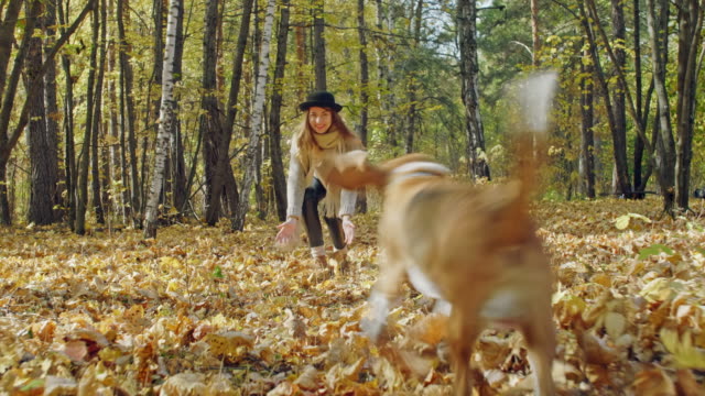 Muchacha-que-ríe-atrapar-su-perro-en-el-bosque-del-otoño