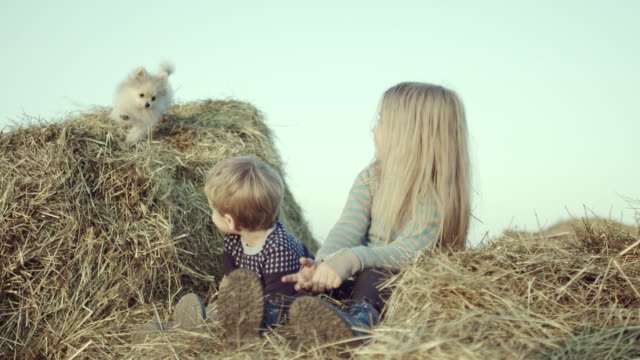 Children-are-playing-with-a-puppy-in-the-manger-in-the-field.