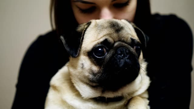 Lovely-woman-hugging-sleepy-pug.-Close-up-of-cute-fat-pug-dog,-indoor
