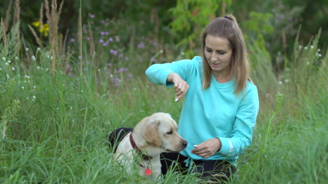 Mujer-joven-está-caminando-con-perro-en-el-bosque