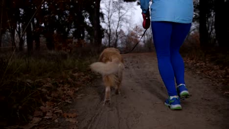 Aktive-gesundes-Mädchen-mit-ihrem-Hund-im-freien-laufen