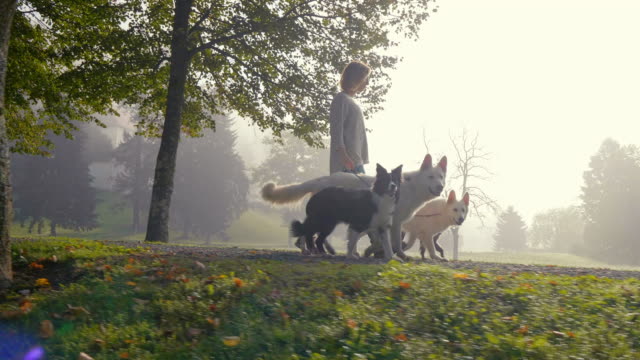 A-crab-shot-of-a-young-woman-walking-with-four-dogs-on-a-road-under-the-trees.