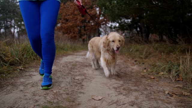 Läufer-Frau-mit-Hund-am-Morgen-joggen-in-der-Natur