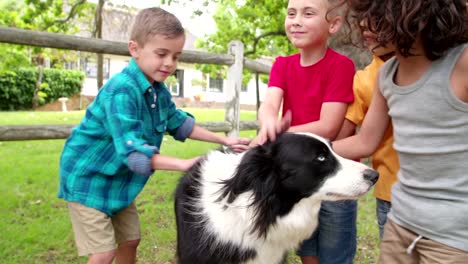 Little-boys-playing-with-a-Border-Collie-dog-in-park