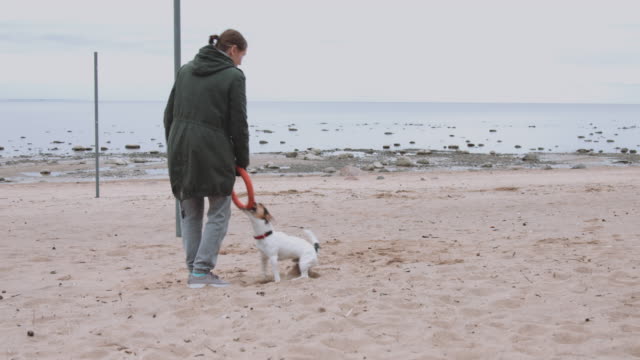 Frau-spielt-mit-Hund-am-Ufer-Meeres