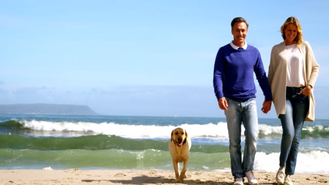 Feliz-pareja-caminando-con-perro-en-la-playa