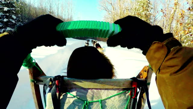 Frau-auf-einer-Pferdeschlittenfahrt-mit-Siberian-husky