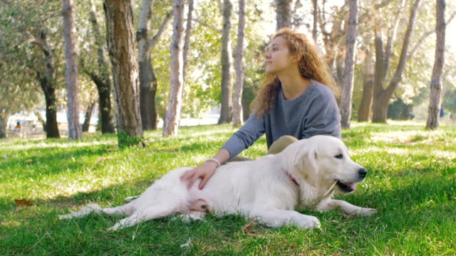 Junge-Frau-mit-Labrador-Retriever-Hund-im-Park-spielen
