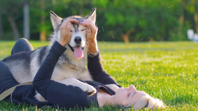 Beautiful-young-woman-playing-with-funny-husky-dog-outdoors-in-park
