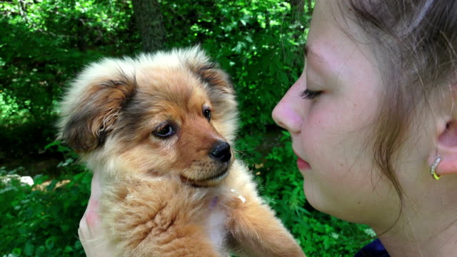 girl-beautiful-young-happy-holding-small-dog-playing