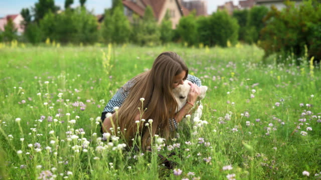 Frau-spielt-mit-ihrem-Hund-im-park