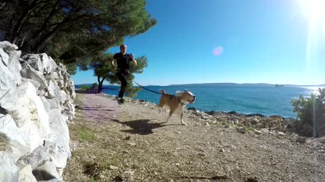 4K-Aufnahmen-von-einem-Mann-Canicrossing-an-einem-sonnigen-Nachmittag-entlang-der-kroatischen-Küste