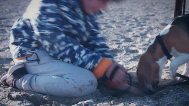 4K-im-freien-Meer-Kind-und-Hund-spielen-im-Sand