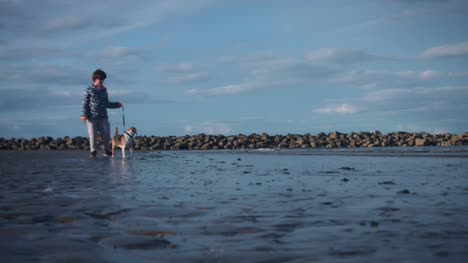 4K-al-aire-libre-playa-niño-y-perro-caminar-en-agua