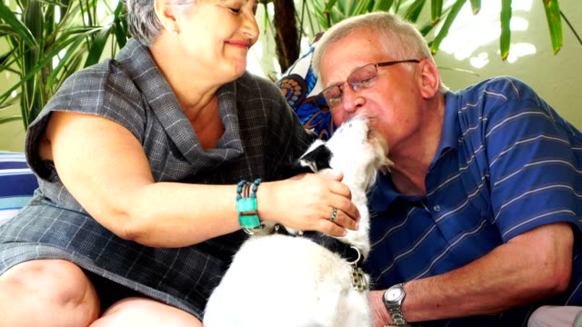 Senior-pareja-relajante-con-un-perro-en-casa
