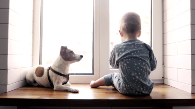 Baby-Boy-und-der-Hund-schaut-aus-dem-Fenster