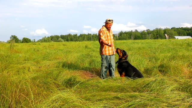 Hombre-con-su-perro-en-el-campo-de-hierba-verde