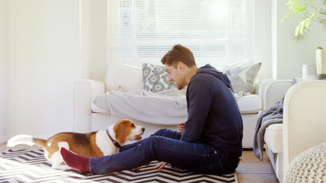 Young-man-sitting-on-ground-playing-with-his-pet-dog-4K-4k