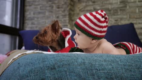 Sweet-little-baby-dressed-in-striped-cap-is-lying-on-bed-on-tummy-with-dog-in-front-of-the-window