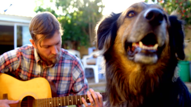Mann-mit-seinem-Hund-spielt-Gitarre-im-Garten-4k