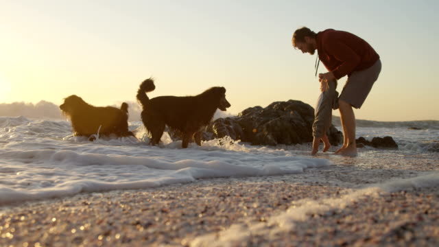 Padre-y-bebé-niño-jugando-con-su-perro-en-la-playa-4k