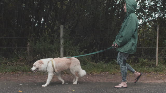 Frau,-die-ihre-netten-Hund-im-Regen