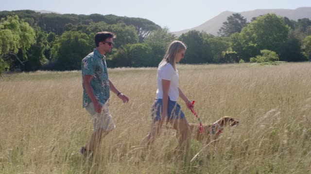 Slow-motion-couple-walking-their-dog-in-field-of-long-grass