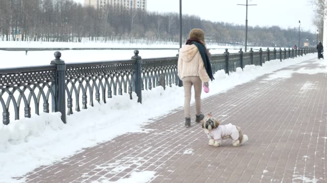Spaziergang-mit-dem-Hund.-Mädchen-geht-mit-dem-Hund-Shih-Tzu-durch-den-Winter-Park-spazieren.