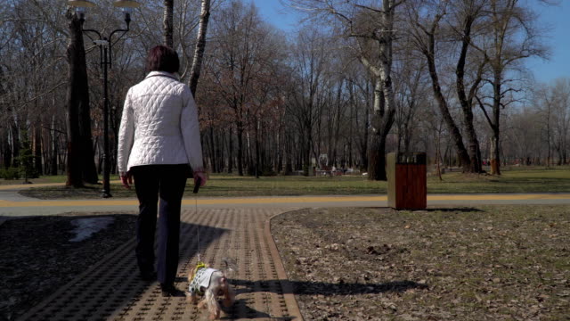 Mujer-caminando-en-el-parque-con-perro-pequeño