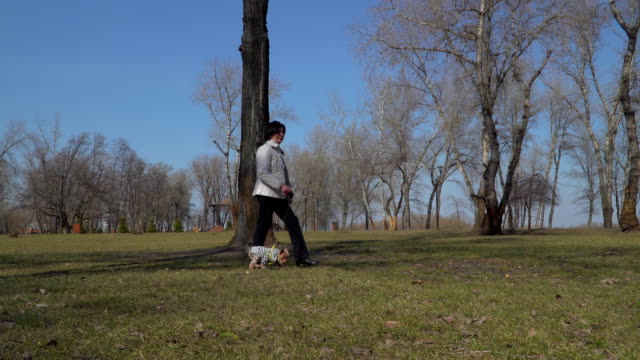 Ältere-Frau-Spaziergang-im-Park-mit-kleinen-Hund