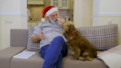 Cute-dog-asks-some-snack-in-senior-man-wearing-Santa's-hat