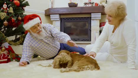 Mature-woman-with-husband-stroking-dog-sitting-on-floor-near-Christmas-tree