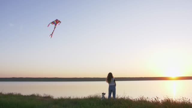 Young-happy-woman-and-het-little-dog-with-flying-kite-on-a-glade-at-sunset,-low-angle-view