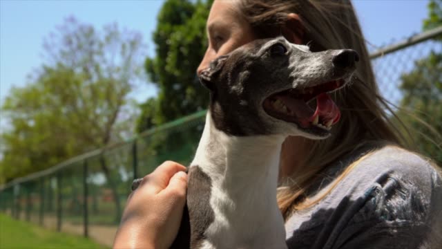 Slow-Motion-blonde-Frau-halten-und-küssen-ihr-italienisches-Windspiel-Hund-im-park