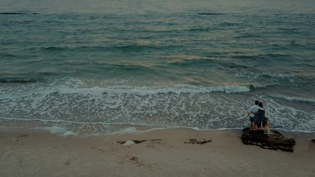 Luftaufnahme-des-jungen-Brautpaares-zu-Fuß-am-Strand-mit-husky-Hund