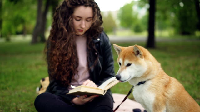 Cheeful-student-is-reading-book-sitting-in-the-park-then-patting-adorable-puppy-and-smiling.-Loving-animals,-intelligent-hobby-and-healthy-lifestyle-concept.