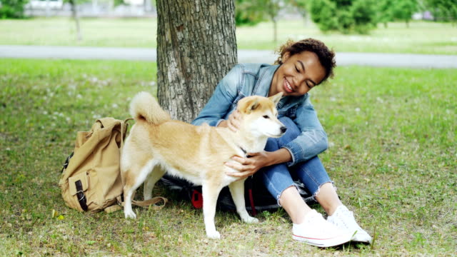 Pretty-mixed-race-woman-is-fussing-her-pet-dog-resting-on-the-grass-in-the-park-on-warm-summer-day.-Beautiful-green-lawn,-old-trees-and-backpack-are-visible.